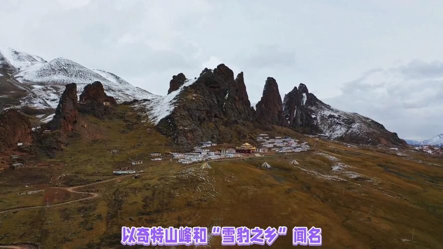 青海省玉树藏族自治州新增境外输入11例，均在安徽宣城泾县(青海玉树新型冠状病毒)