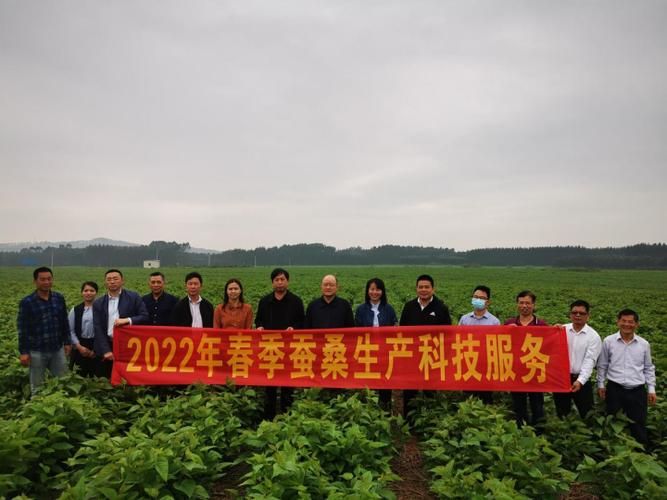 专家:横州市每年或现多个感染高峰:横州市最新新闻