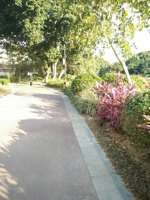 福建省莆田市荔城区1月14日新增感染趋势蔓延_莆田市荔城区新增病例