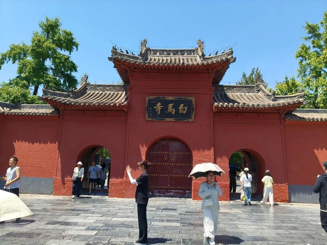 【河南省洛阳市瀍河回族区什么时候可以解封_洛阳瀍河回族区政府官网】