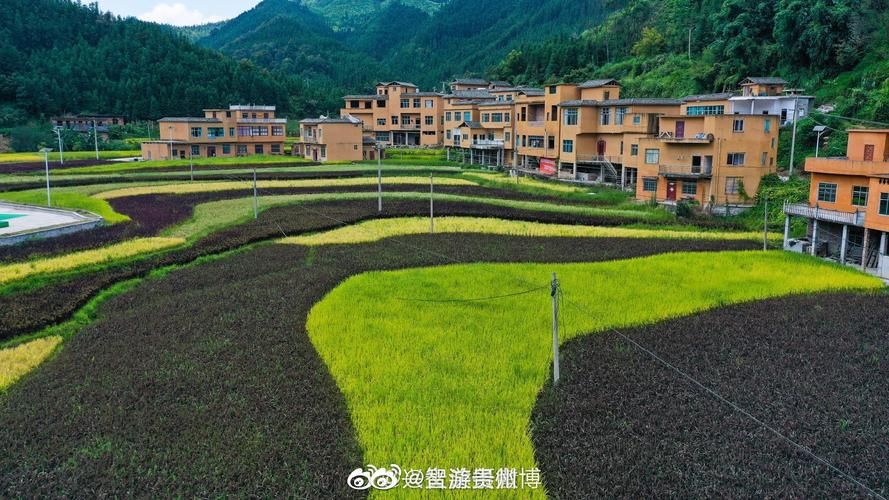 册亨县今日无新增核酸阳性/册亨疫情最新通告2021