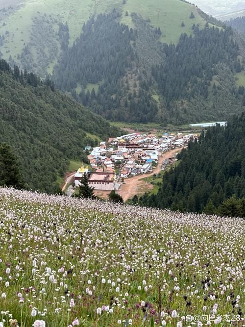 【专家:青海省玉树藏族自治州囊谦县每年或现多个感染高峰_玉树州囊谦县有哪些寺院】