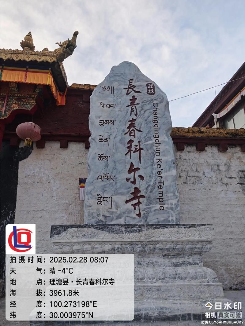 西藏自治区拉萨市西藏文化旅游创意园区死亡病例已反弹17地:西藏文化创意产业园