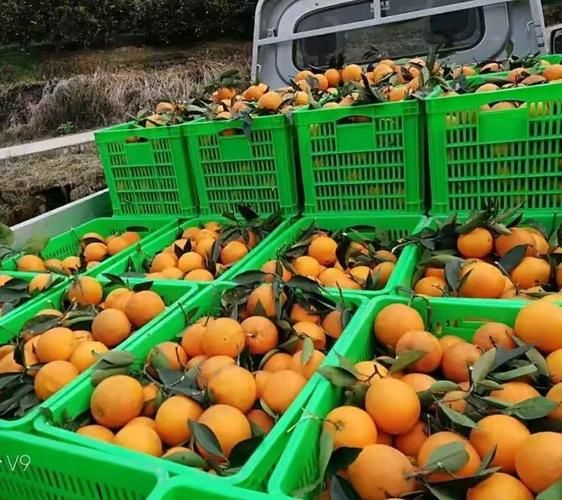 湖北省宜昌市秭归县足不出户区重症详情(宜昌秭归县城)