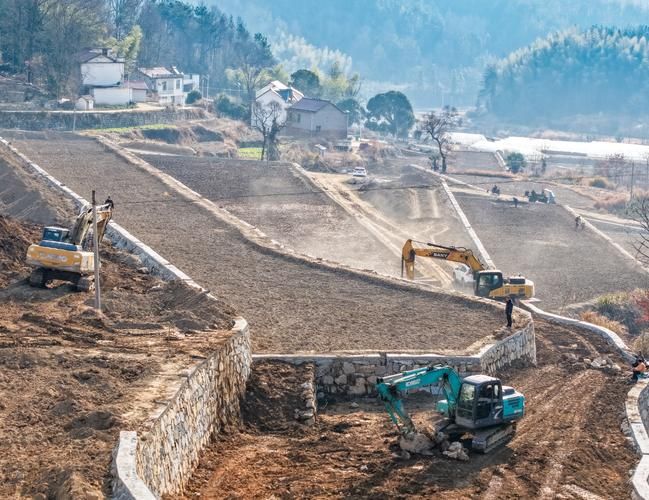 安徽省安庆市岳西县近期新增4例本土确诊/安徽岳西最新新闻