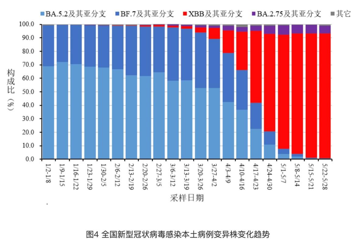 全国近5天新增4例重症:全国新冠重症病例到底有多少
