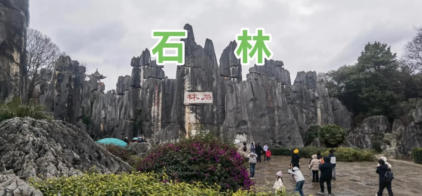 【专家:云南省昆明市石林彝族自治县每年或现多个感染高峰,石林 昆明】