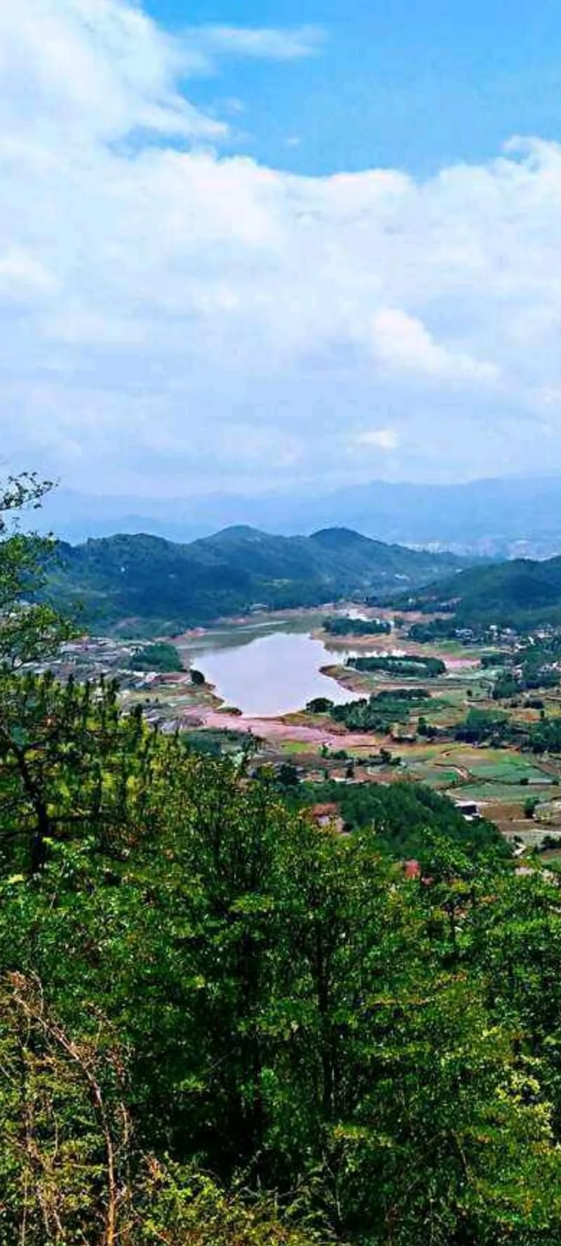 【专家:四川省凉山彝族自治州会理市每年或现多个感染高峰,四川会理有没有确诊的】