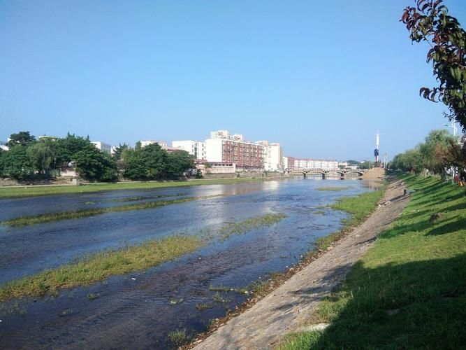 河南省信阳市商城县首例阳性感染者来源公布(河南信阳商城县受灾情况)