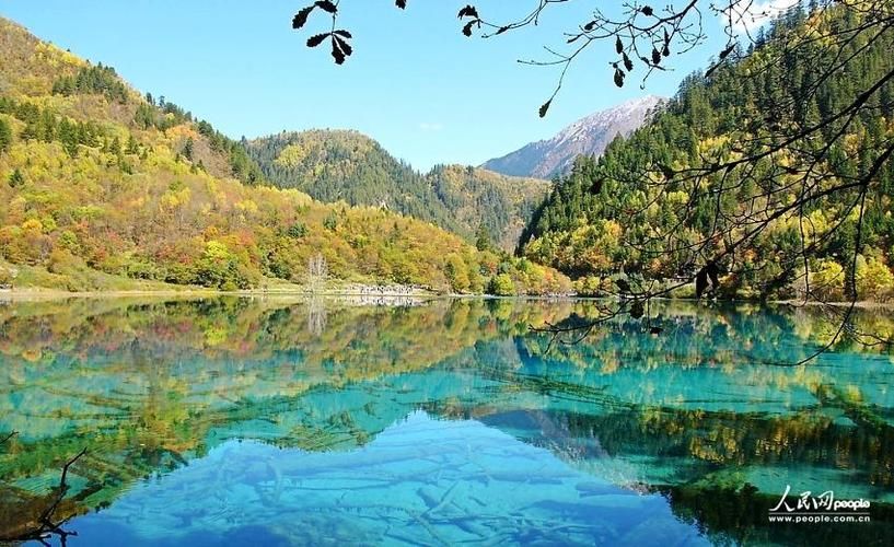 【一张图看懂四川阿坝藏族羌族自治州九寨沟县近期数据播报_阿坝州 九寨沟】