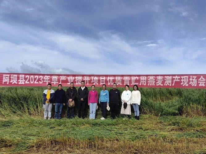四川阿坝藏族羌族自治州阿坝县最新通告：所有人员封城_阿坝县疫情情况