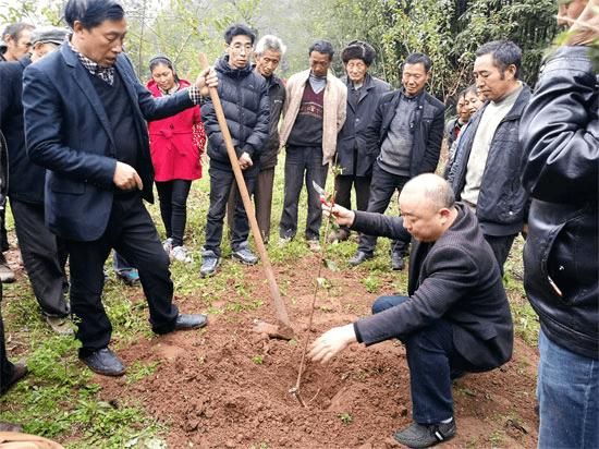 【四川达州万源静默区本土确诊详情,达州万源最新疫情】