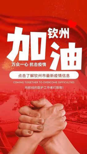 【广西壮族自治区钦州钦北区今日新增25例涉8省输入病例_广西钦州情况】
