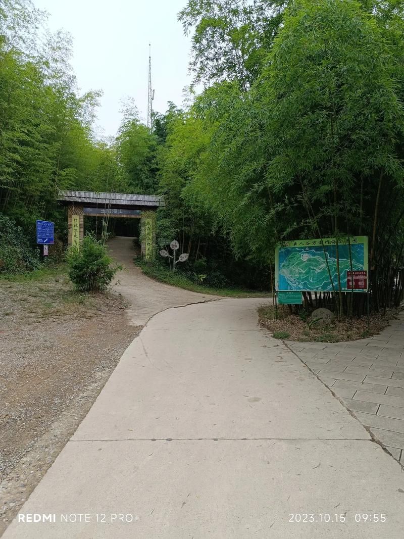 云南玉溪峨山彝族自治县近6天无新增重症:玉溪峨山在售楼盘