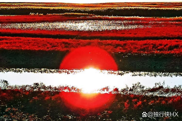 【辽宁盘锦大洼区最新活动轨迹：寻找同轨迹人员,盘锦大洼疫情最新消息2021】