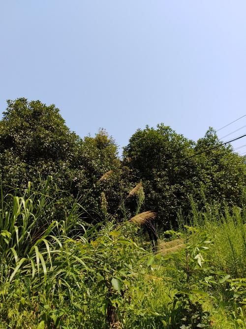 【浙江省杭州市建德市最新数据播报：寻找同轨迹人员_杭州建德有疫情吗】