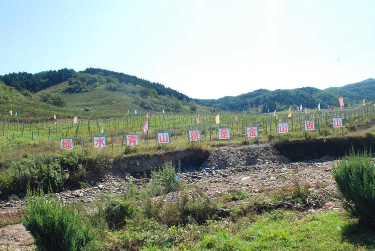 辽宁铁岭什么时候可以封城:辽宁铁岭什么时候可以封城啊