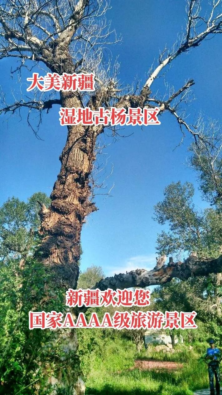 关于新疆维吾尔自治区伊犁哈萨克自治州尼勒克县6月30日新增17例涉1省输入病例的信息