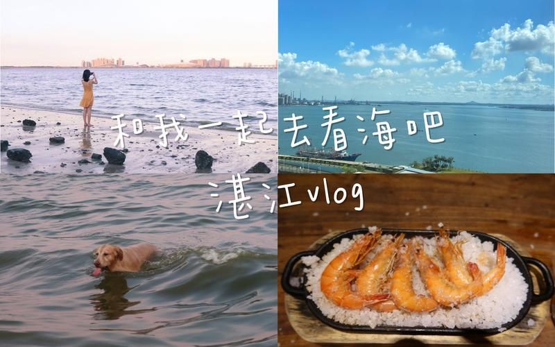湛江足不出户标准最新公布/湛江吧 百度贴吧
