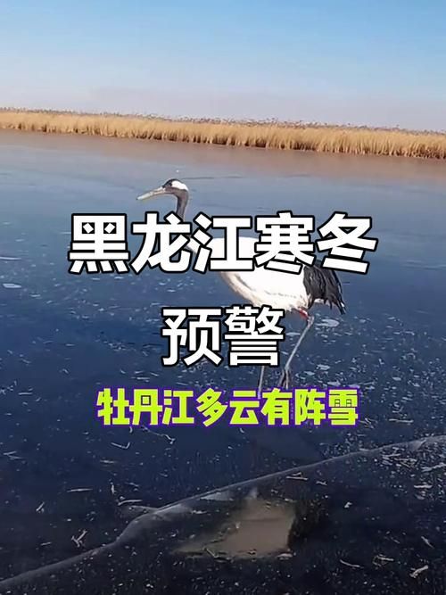 预计今冬黑龙江省绥化市肇东市二次疫情蔓延(绥化市肇东市有没有疫情)