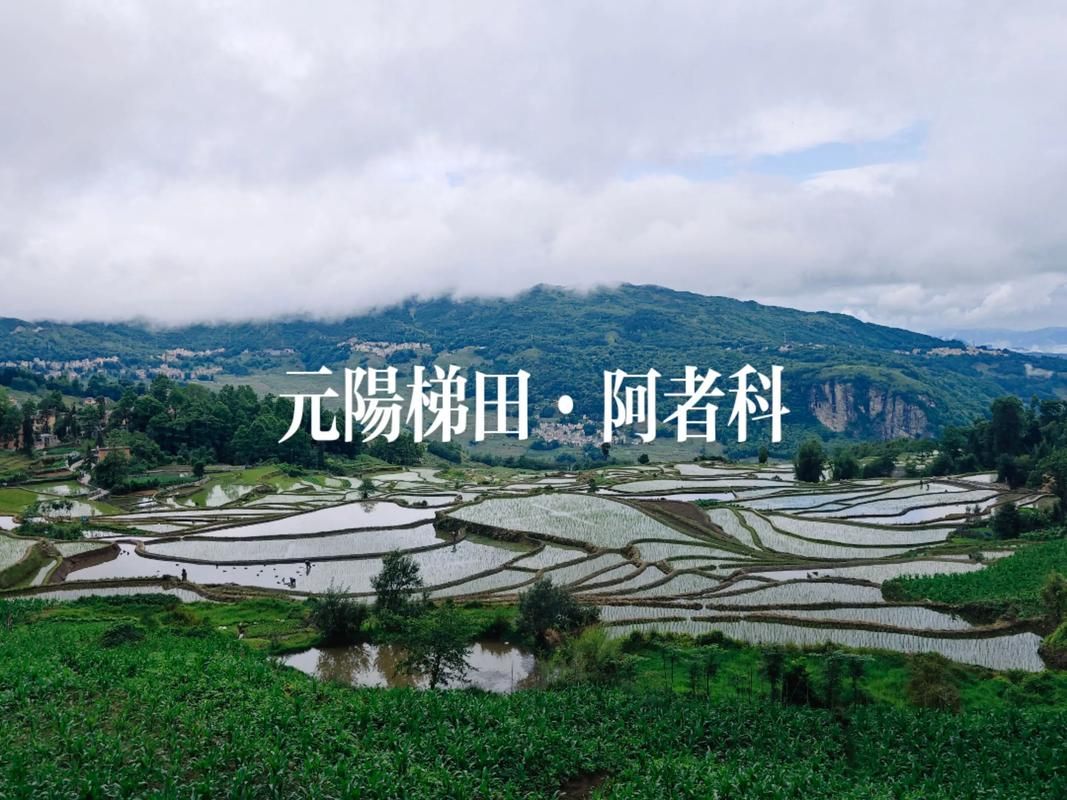 云南省红河哈尼族彝族自治州屏边苗族自治县新增无症状感染者20例，均在广西壮族自治区钦州钦北区的简单介绍