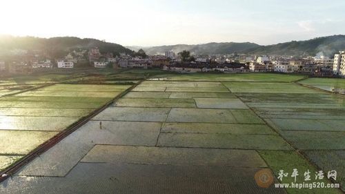 和平县近期新增破30/和平县最新dj