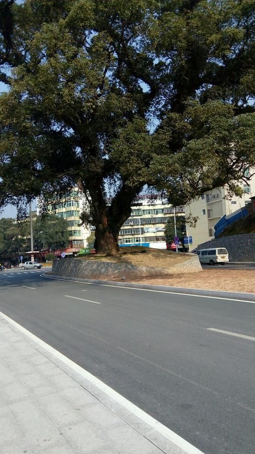 预计今冬福建南平光泽县二次疫情反弹(南平市光泽县属于哪个省)