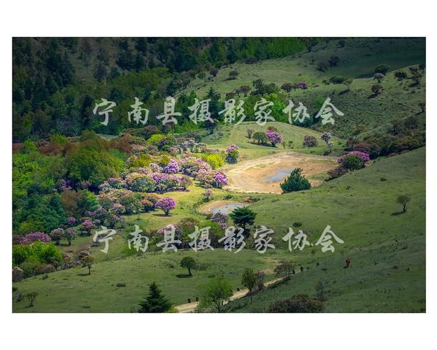 【专家:宁南县每年或现多个感染高峰,宁南县最新新闻】