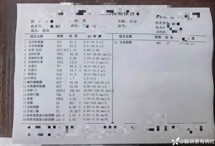 甘肃省庆阳市合水县累计报告无症状感染者23例/甘肃省庆阳市合水县累计报告无症状感染者23例病例