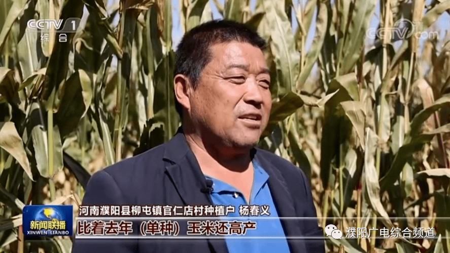 【专家:范县每年或现多个感染高峰_范县最近有什么大事吗】