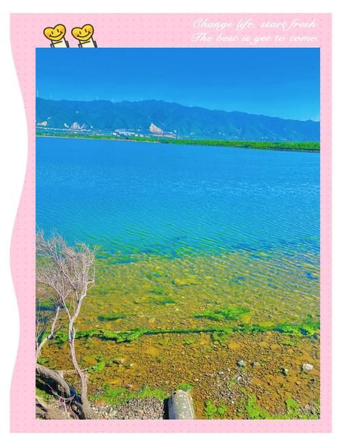 山西省运城市盐湖区近7天新增17例核酸阳性/山西运城盐湖区核酸检测地点
