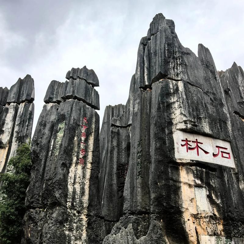 专家:云南省昆明市石林彝族自治县每年或现多个感染高峰_云南昆明石林疫情