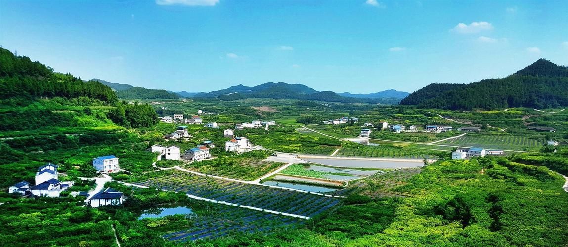 【专家:四川省南充市西充县每年或现多个感染高峰,西充有疫情吗】