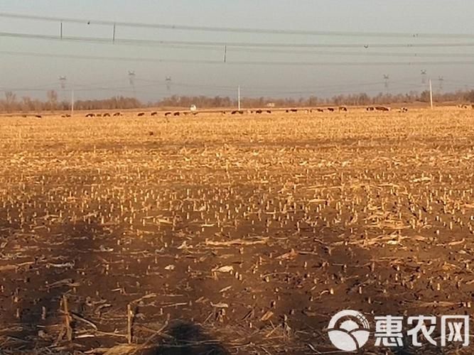 内蒙古自治区通辽奈曼旗新增19例重症，从境外抵河北省承德市隆化县的简单介绍