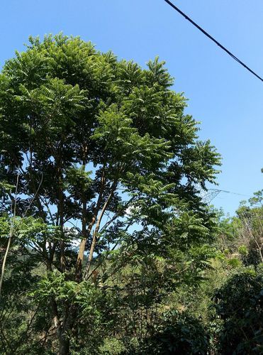 【云南省普洱市思茅区疫情静默最新消息_普洱市思茅区防疫指挥部】