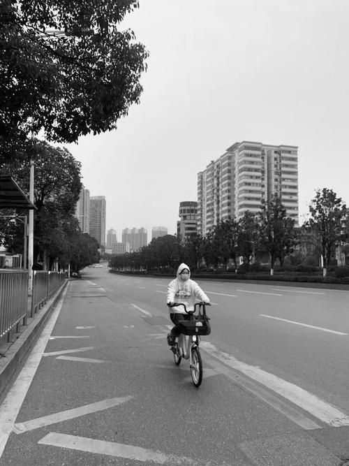 永善县疫情封城最新消息:永善县疫情封城最新消息通知