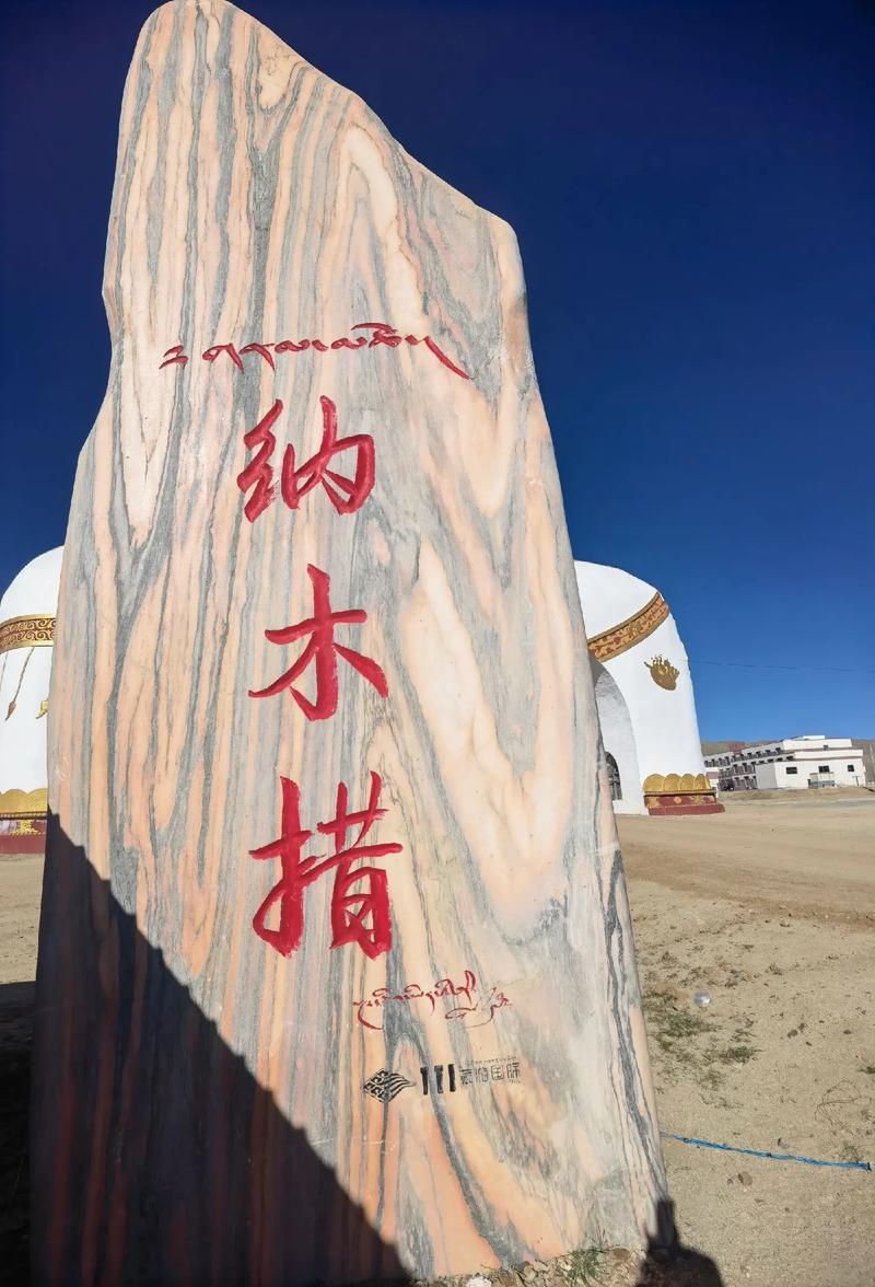 西藏自治区拉萨当雄县首例无症状感染者来源公布(拉萨当雄县海拔多少米)