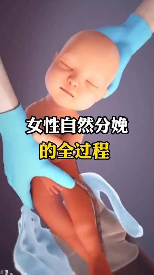 wqwqwq 第5页