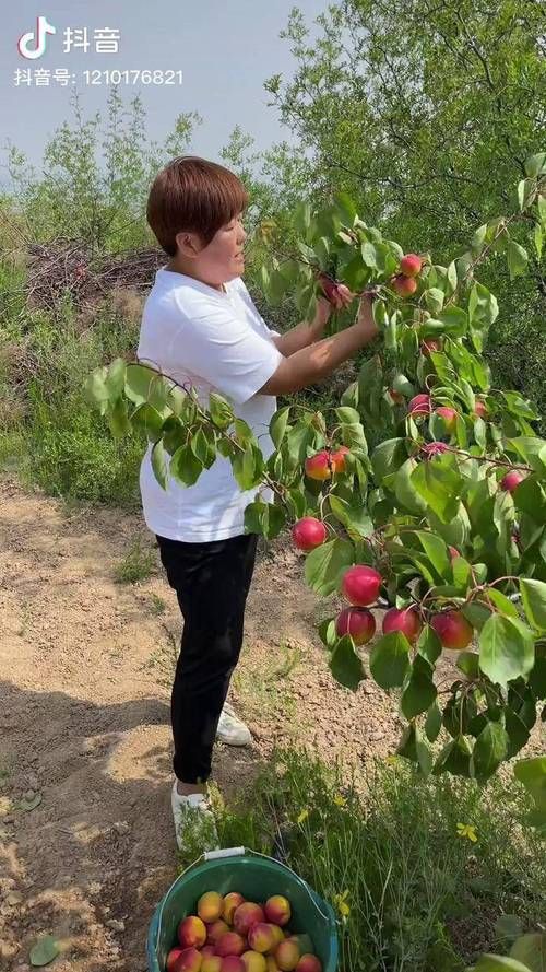 红杏视频 - 抖音攻略红杏视频