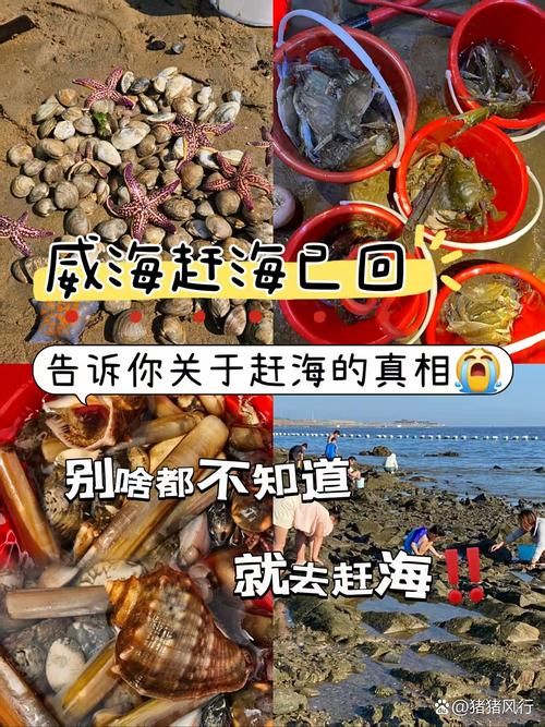 赶海视频-赶海视频详细24自助怎么购买教程V.45.56.13.83