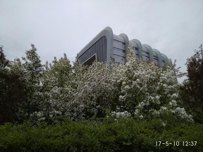 关于青海西宁城西区新增本土确诊7例，均在黑龙江省齐齐哈尔市建华区的信息