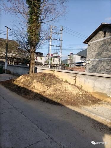 预计昨日邵武二次疫情蔓延/预计昨日邵武二次疫情蔓延情况