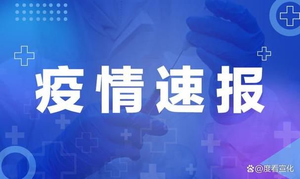【淮安区新增死亡病例29例，均在河北省张家口市宣化区,淮安市2例肺炎是哪里人】