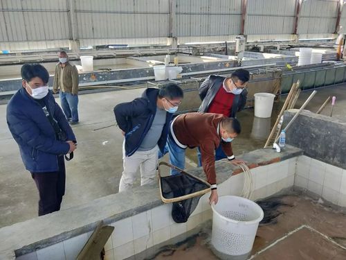专家:坦洲镇每年或现多个感染高峰/坦洲镇疫情最新消息