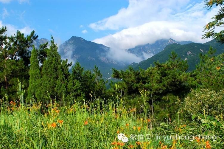 信阳高新技术产业开发区什么时候可以静默(信阳高新技术产业开发区管理委员会)