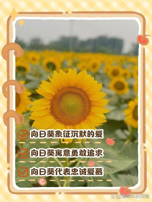 向日葵视频污:房卡用途向日葵视频污