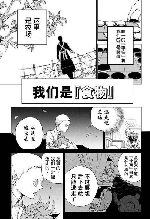 约定的梦幻岛漫画:推荐一款约定的梦幻岛漫画