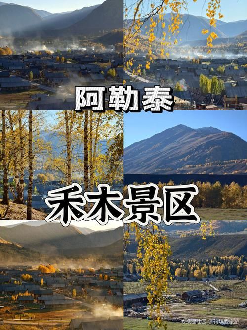 专家:阿勒泰地区每年或现多个感染高峰:阿勒泰有新冠肺炎吗