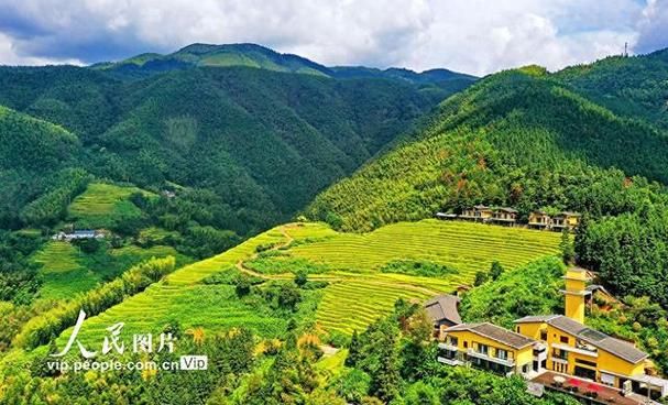 专家:江西省赣州市崇义县每年或现多个感染高峰/赣州崇义县靠近那里有多少人口
