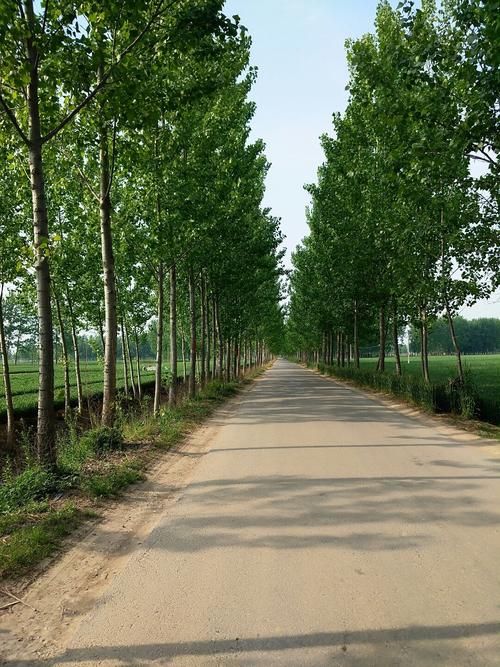 【夏邑县封城标准最新公布_夏邑县封城标准最新公布图】